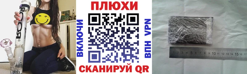 Купить где  Гвардейск  ГАШ Premium 