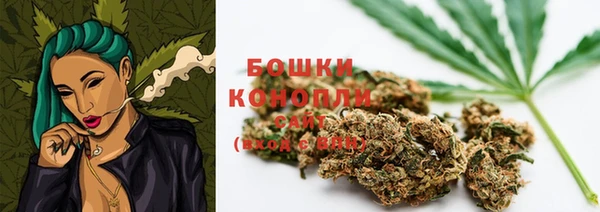 мет Каменка