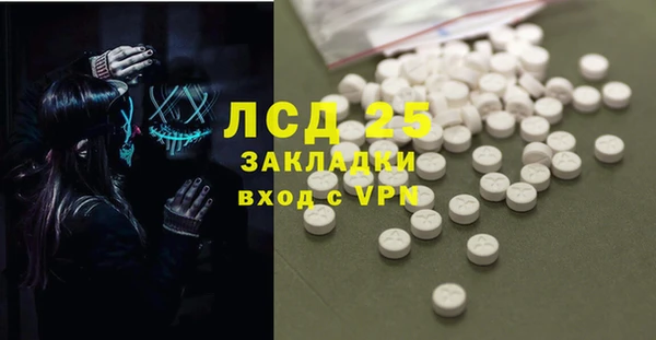 сатива Инсар
