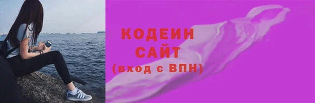 сатива Инсар