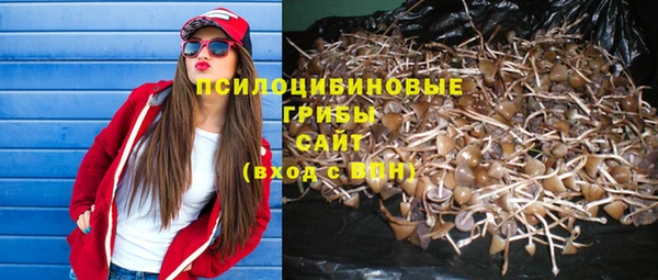 2c-b Инта