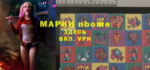 сатива Инсар