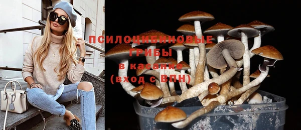 сатива Инсар