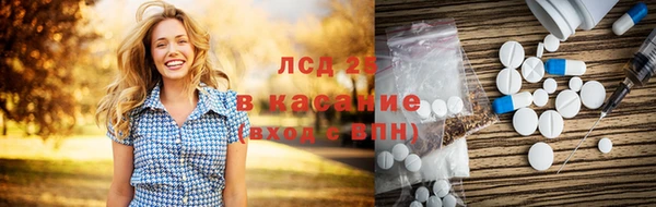 сатива Инсар