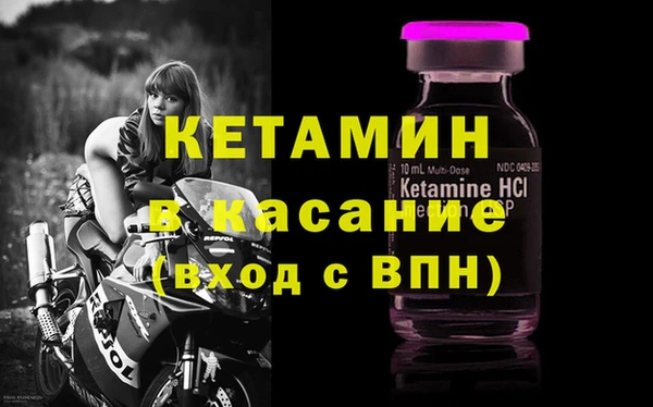 сатива Инсар
