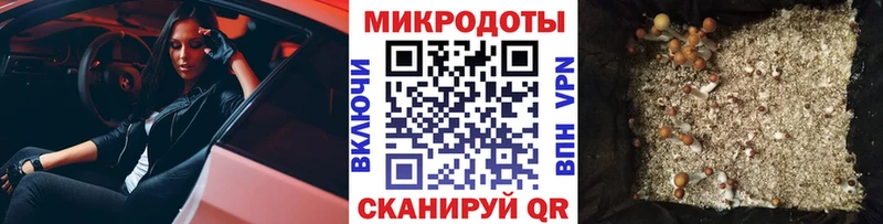Псилоцибиновые грибы мицелий  Купить  Гвардейск 