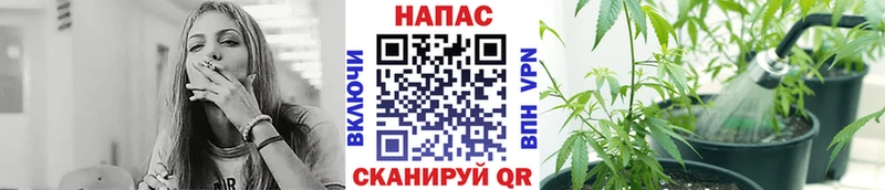 Бошки Шишки индика  Купить  Гвардейск 